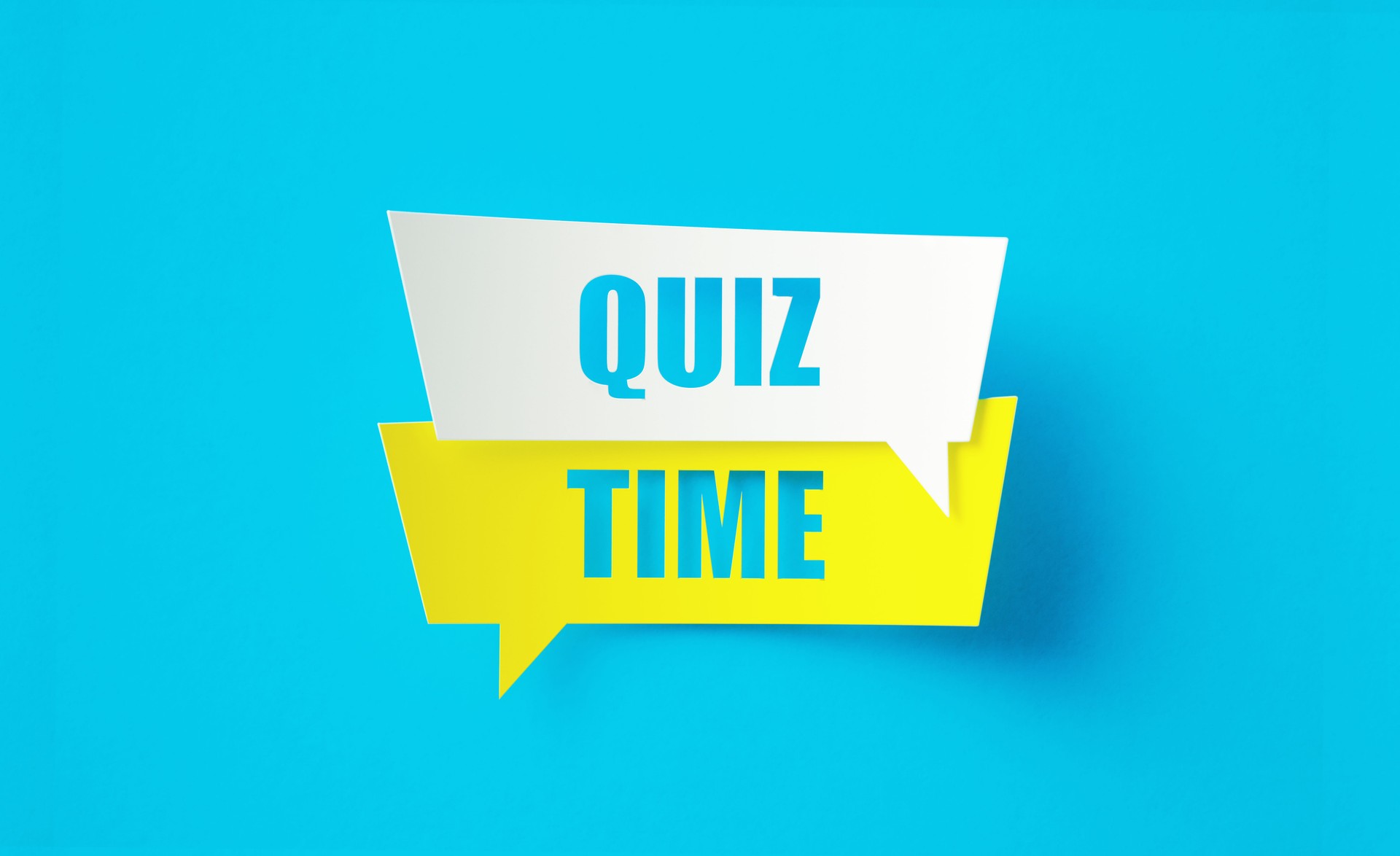 Daily quiz Champions